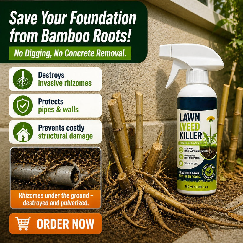 Avlunexa® Lawn Weed Killer 🌿