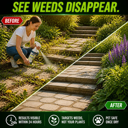Avlunexa® Lawn Weed Killer 🌿